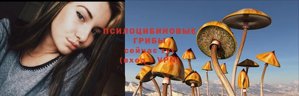 jwh Михайлов