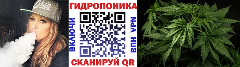 МАРИХУАНА конопля Невельск